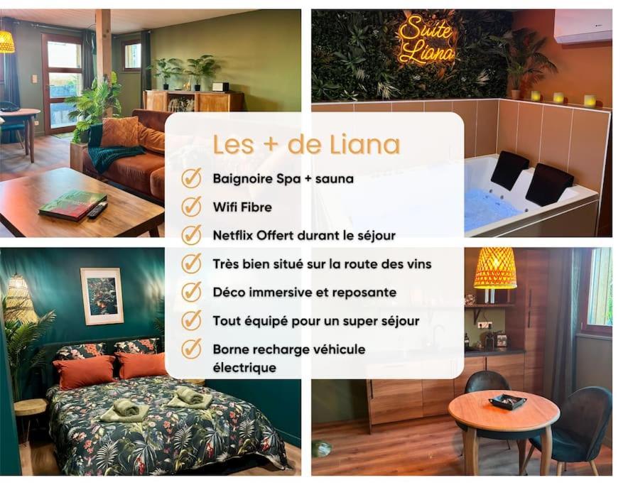 Suite Liana - Spa- Sauna Rorschwihr Luaran gambar