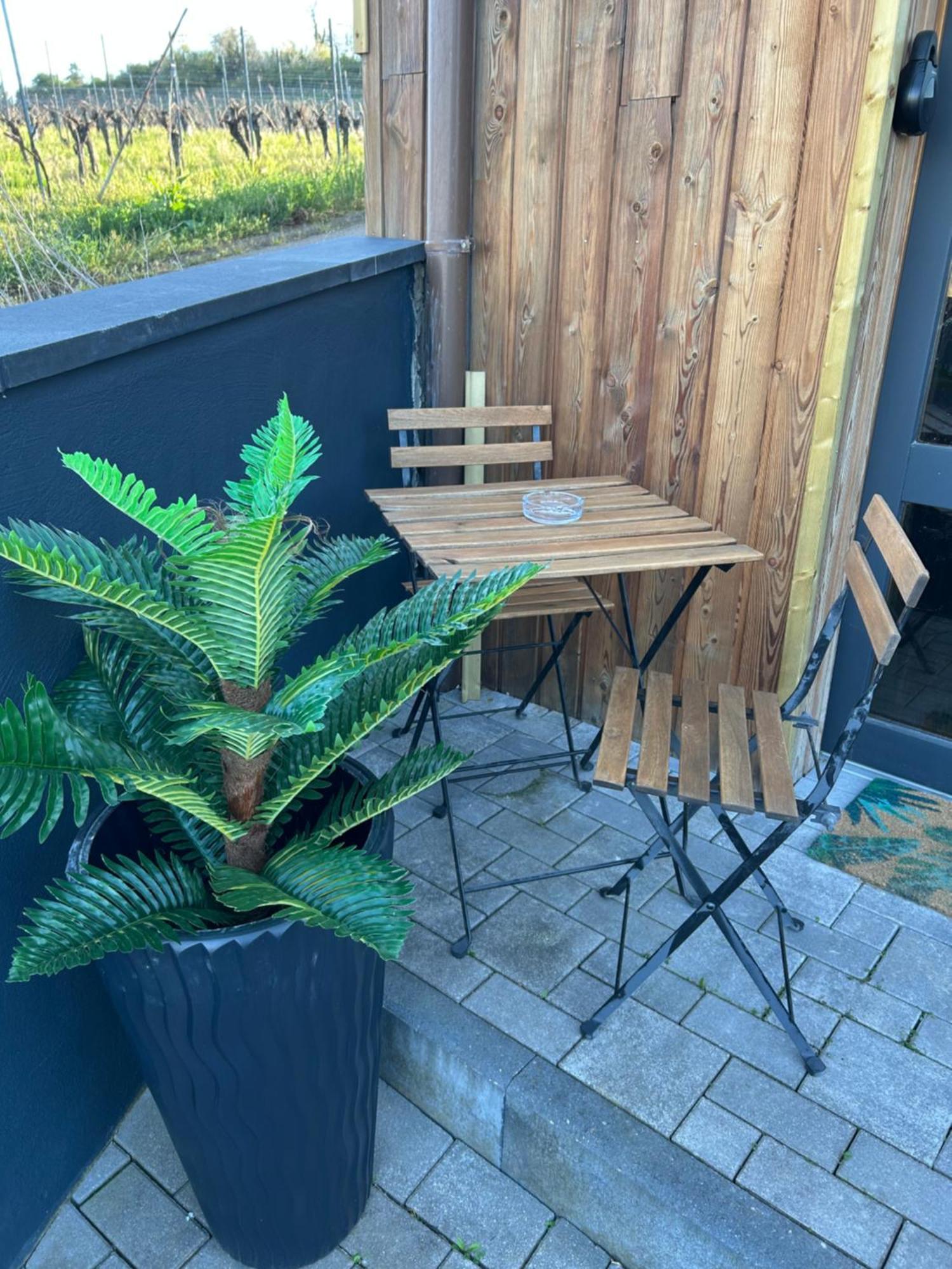 Suite Liana - Spa- Sauna Rorschwihr Luaran gambar